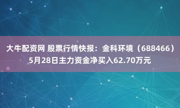 大牛配资网 股票行情快报：金科环境（688466）5月28日主力资金净买入62.70万元