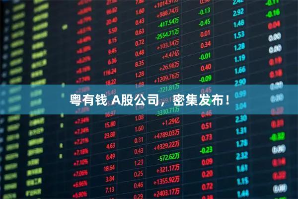 粤有钱 A股公司，密集发布！