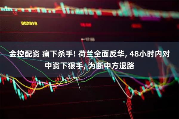 金控配资 痛下杀手! 荷兰全面反华, 48小时内对中资下狠手, 为断中方退路